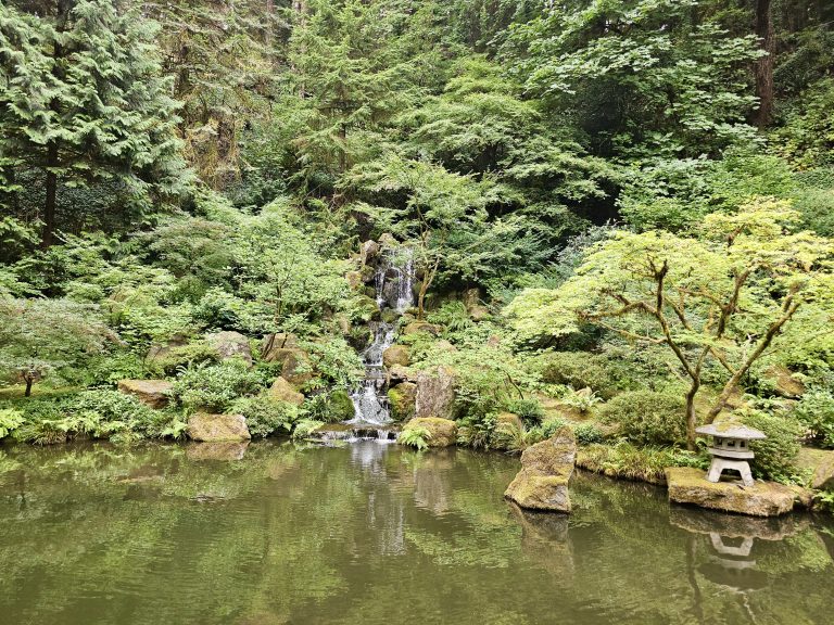 A beautiful view of a small waterfall flowing into a still pond, surrounded by lush green trees and mossy rocks. Captured at the Japanese Garden, Portland.