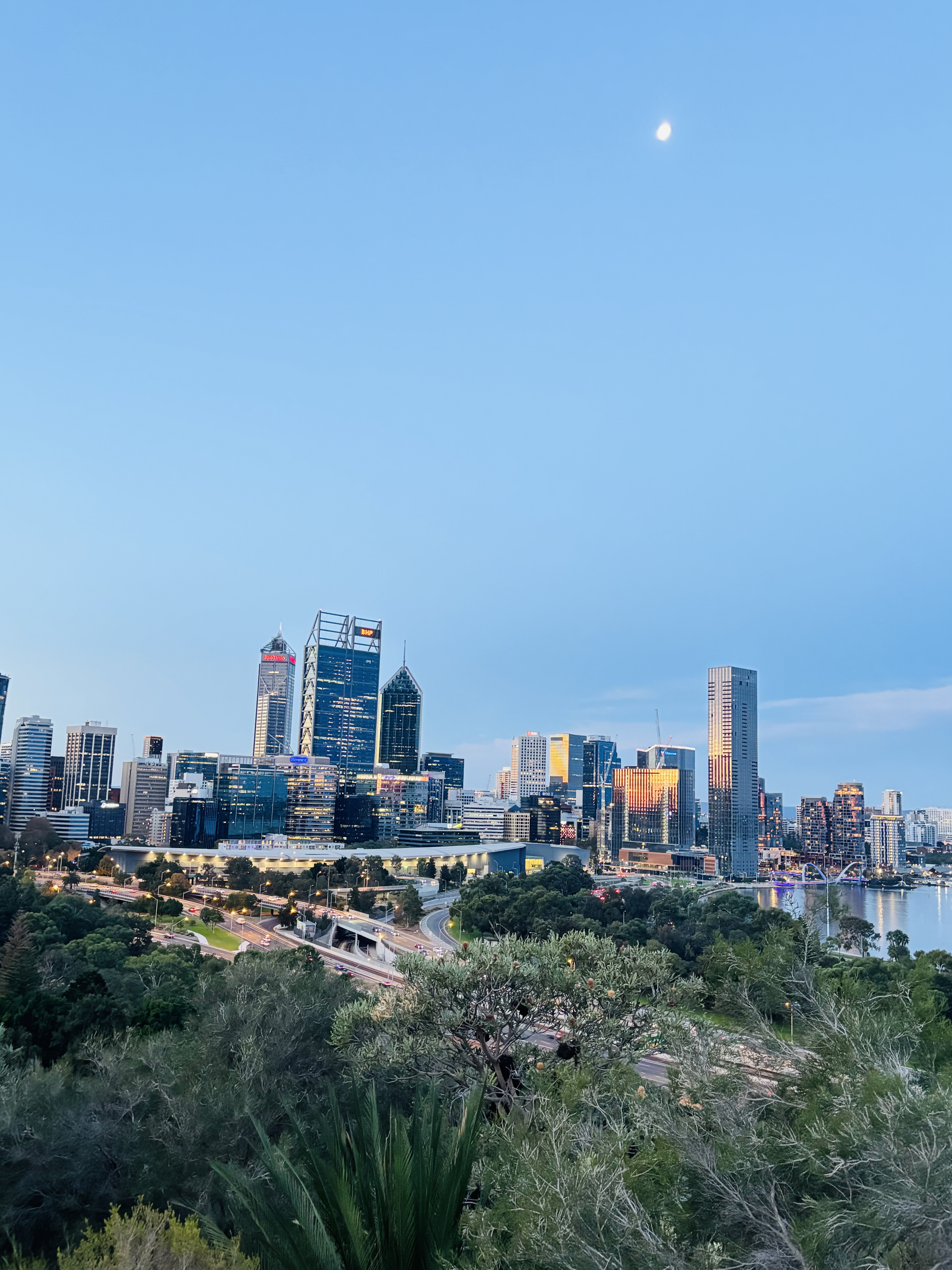 view of perth city from the height of kings park, perth WA