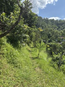 A narrow path in grassy hills leads to a yellow house among trees under a partly cloudy sky.