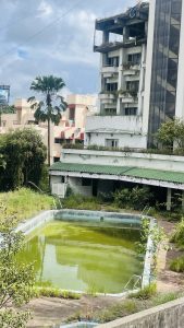 A neglected swimming pool surrounded by overgrown grass and plants. 
