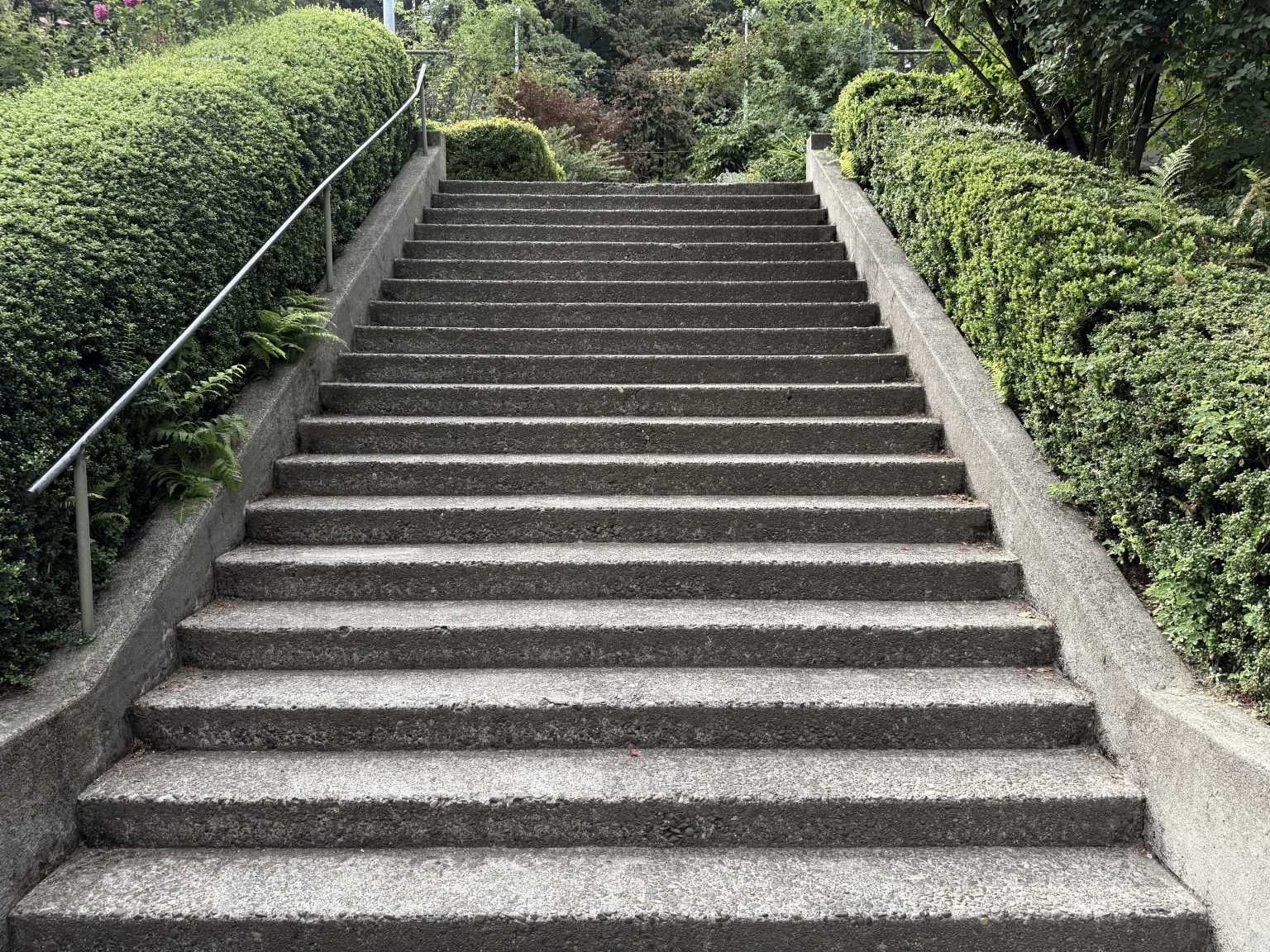 Concrete stairway framed by neatly trimmed green hedges. Leads upward into the garden area. Captured at Washington Park, Portland.