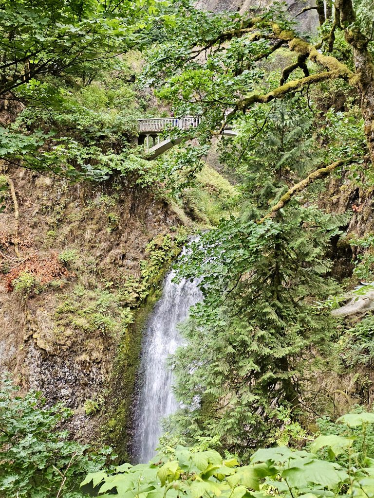 A scenic view of Benson Bridge peeking through lush green trees above a cascading waterfall. Captured in the Columbia River Gorge National Scenic Area, Oregon.