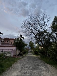 A quiet residential street at dusk, lined with trees and houses. On the left, a pink house with a red roof and a motorbike parked near the gate. On the right, a tall bare tree with twisting branches stands against a blue-gray evening sky scattered with clouds. Streetlights glow faintly in the distance, illuminating the pathway that stretches straight ahead.