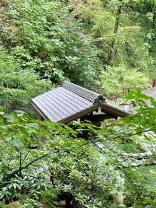 A peaceful view of a traditional tiled roof structure partially hidden among lush green leaves and mossy trees, taken from above inside the Japanese Garden, Portland. 