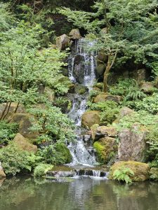 A close-up view of a gentle waterfall flowing over mossy rocks into a calm pond. The greenery adds to the calm feeling. Shot inside the Japanese Garden, Portland. 