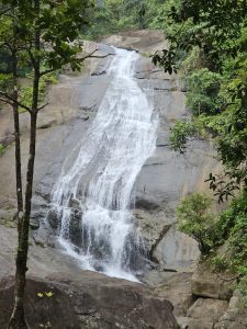 A tall and graceful waterfall cascading down smooth rock surfaces, framed by lush greenery. Beautiful scene from Thusharagiri Falls, Kozhikode. 