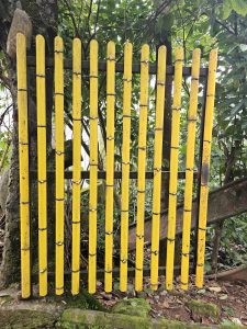 A fence made of vertical bamboo poles painted bright yellow, framed by thick greenery and mossy stones. Shot near Thusharagiri Falls, Kozhikode, Kerala. 