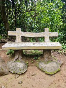 A rustic cement bench designed to look like wood and tree trunks, placed in a forest setting. Surrounded by dense green trees and mossy soil. Photo taken near Thusharagiri Falls, Kozhikode, Kerala. 