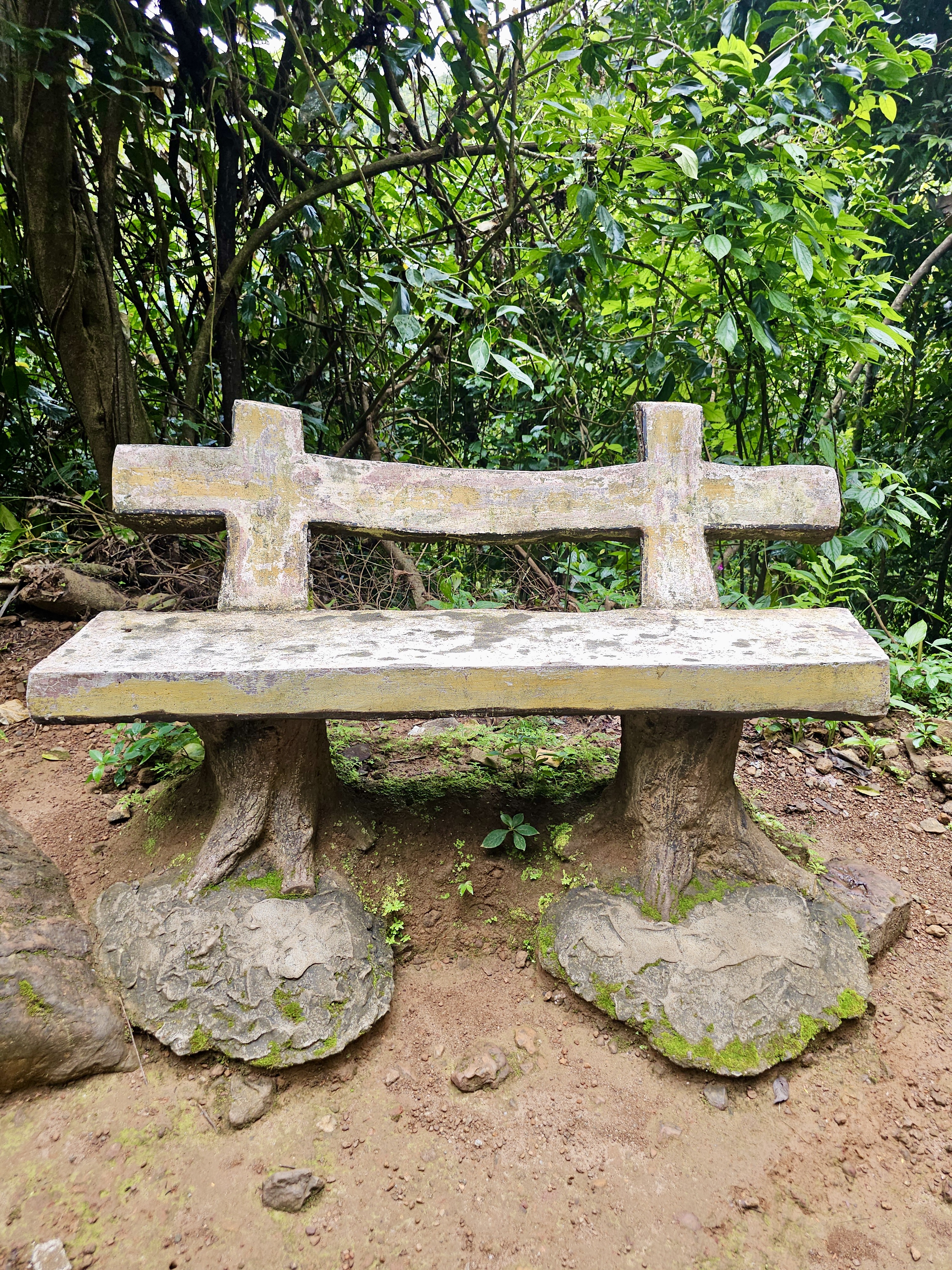 A rustic cement bench designed to look like wood and tree trunks, placed in a forest setting. Surrounded by dense green trees and mossy soil. Photo taken near Thusharagiri Falls, Kozhikode, Kerala.