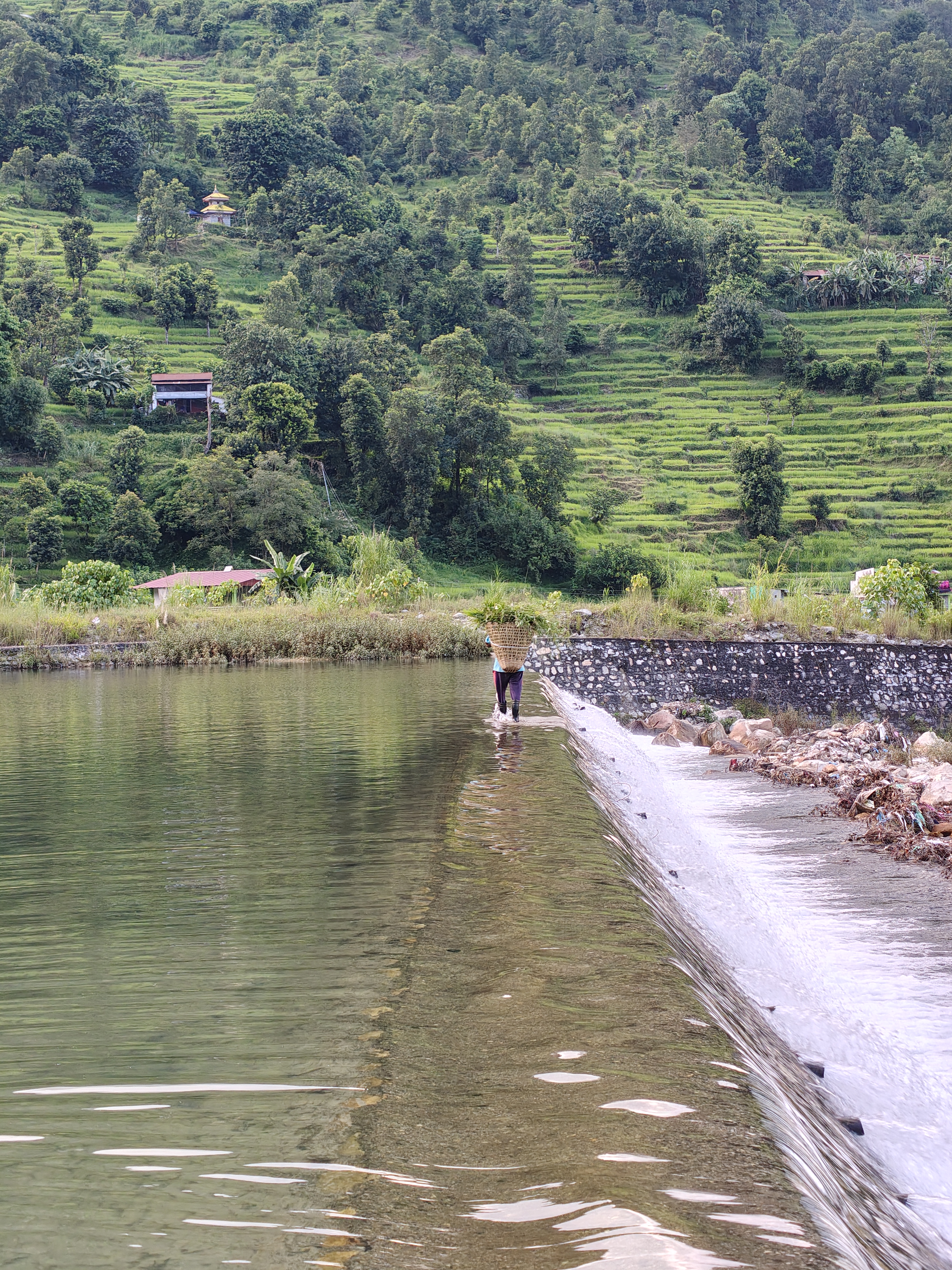 A person wearing a yellow coat walks along a narrow path beside a body of calm water, surrounded by lush green hills and rice terraces.