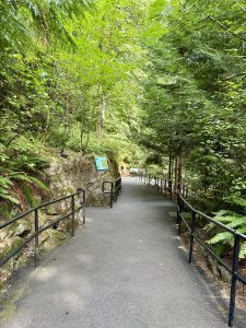 A quiet paved path winds through tall trees and ferns at the Oregon Zoo, Portland. Handrails and signs guide visitors through the lush greenery. 