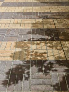Tree branch shadows fall on patterned brick pavement under streetlight, creating a calm, artistic scene. The photo showcases the interplay of light and shadow. Captured in downtown Portland.