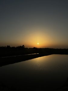 A dark and moody photo of a sunset over a body of water, with the sun&#039;s reflection creating a bright line on the surface.