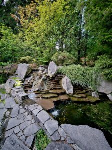 Terraced stone waterfall surrounded by lush trees and greenery. A tranquil spot in Washington Park, Portland.