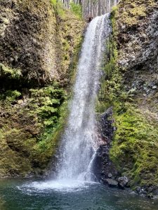 A scenic view of a tall waterfall framed by rocky cliffs and fallen logs, with a gravel clearing in the foreground. The lush greenery and forest surroundings highlight the beauty of the Columbia River Gorge area, Oregon, USA. 