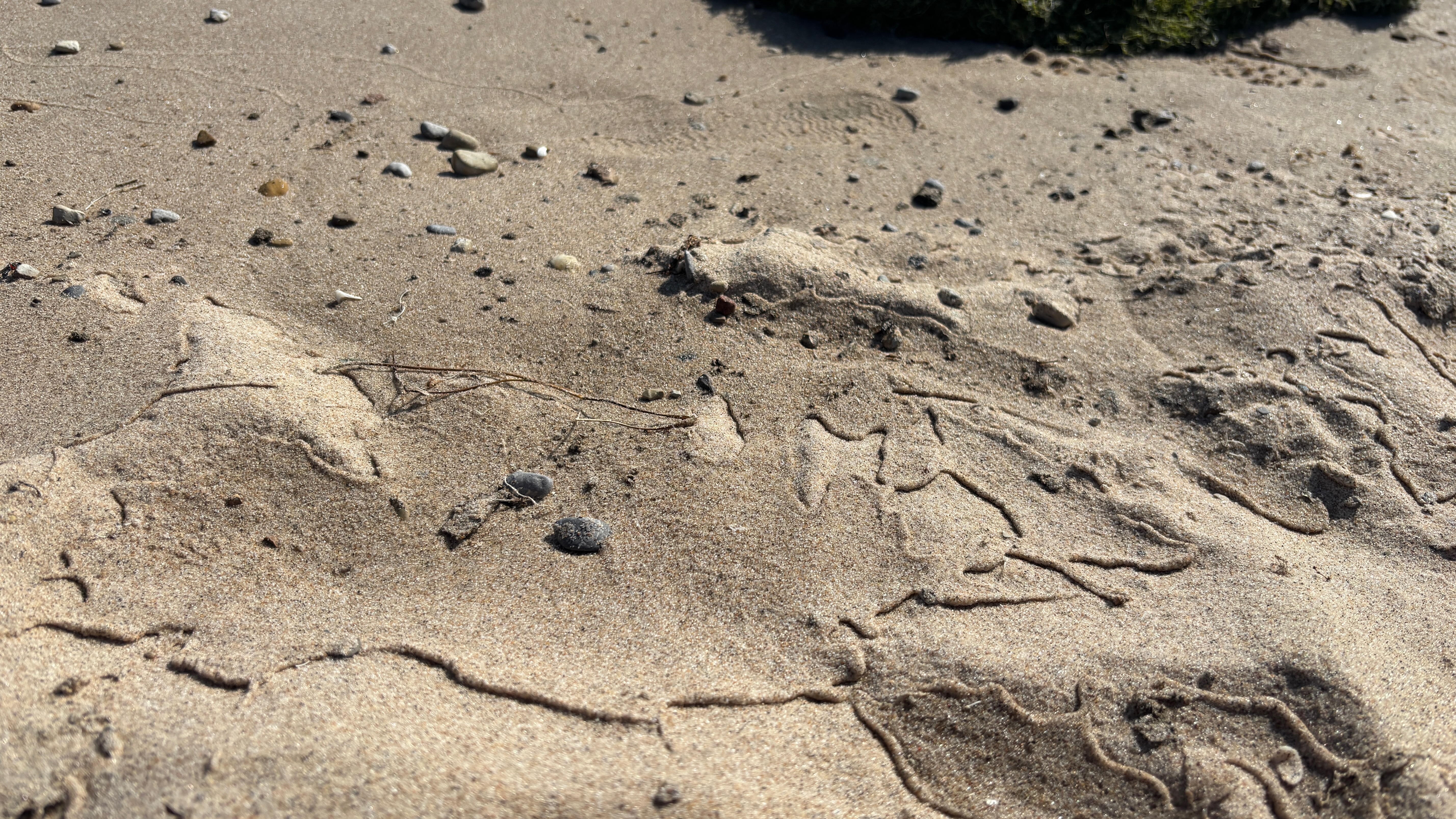 Beach sand with marks left from water motion.