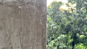 A rough, grey concrete pillar is shown in sharp focus on the left, contrasting with the soft, blurry view of a sunlit green tree on the right.