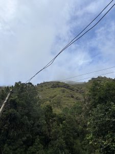 A foggy landscape featuring a lush green hillside with scattered trees, partially obscured by clouds.