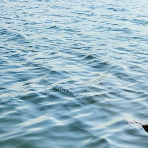 A close-up view of calm water with gentle ripples reflecting light, creating a serene and tranquil atmosphere. 