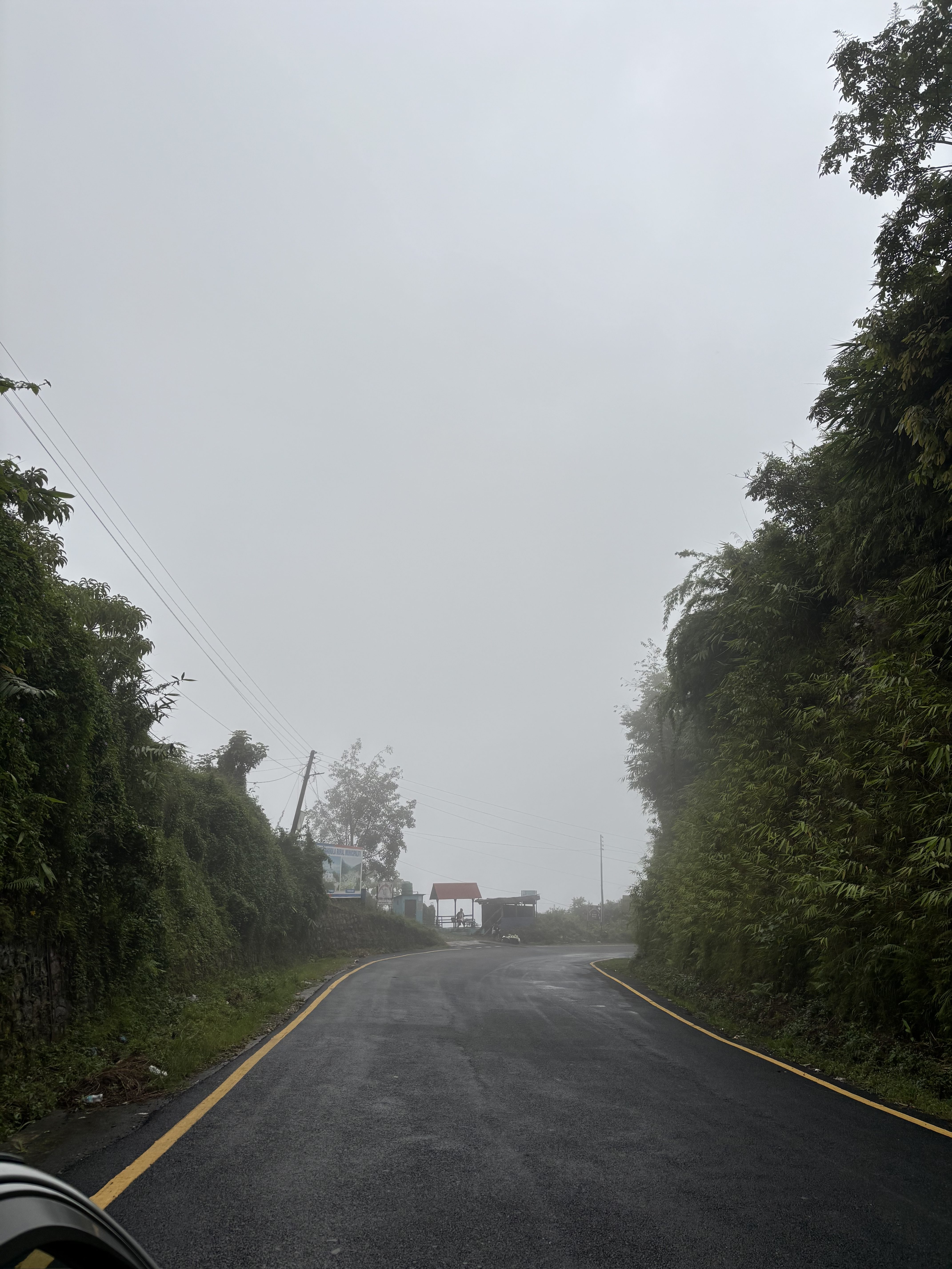 A winding road surrounded by lush greenery and fog, leading into a misty and unclear distance.
