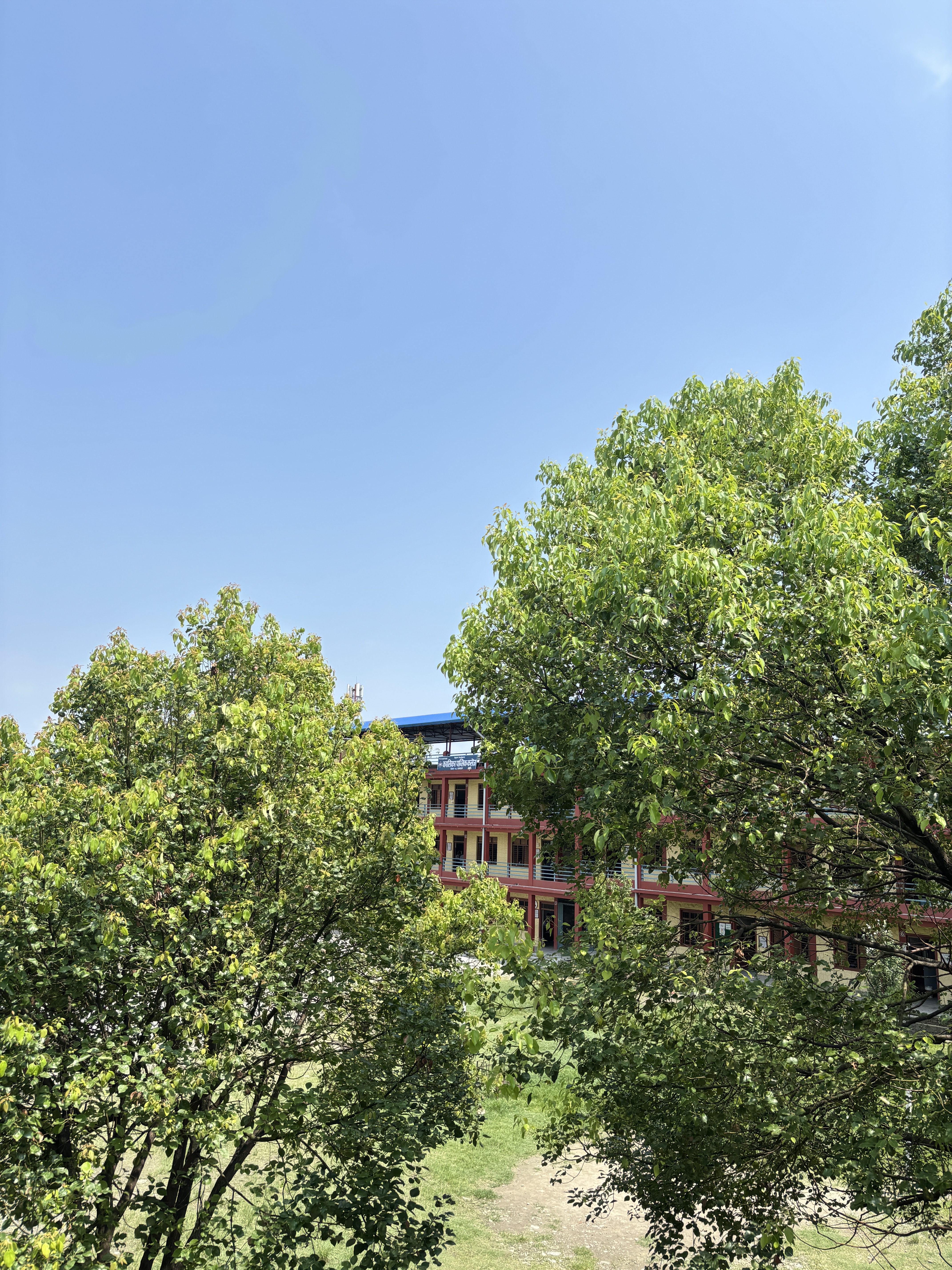 A bright outdoor scene with lush green trees in the foreground under a clear blue sky. Behind the trees, a red and yellow multi-story building with balconies is partially visible. The ground below shows patches of grass and a dirt pathway.