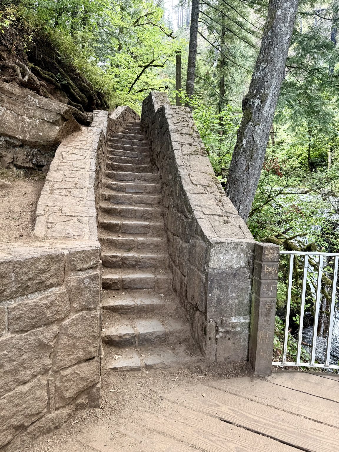 Moss-covered stone steps on a forest hiking trail, leading through thick woods. Photo taken inside the Columbia River Gorge National Scenic Area, Oregon.