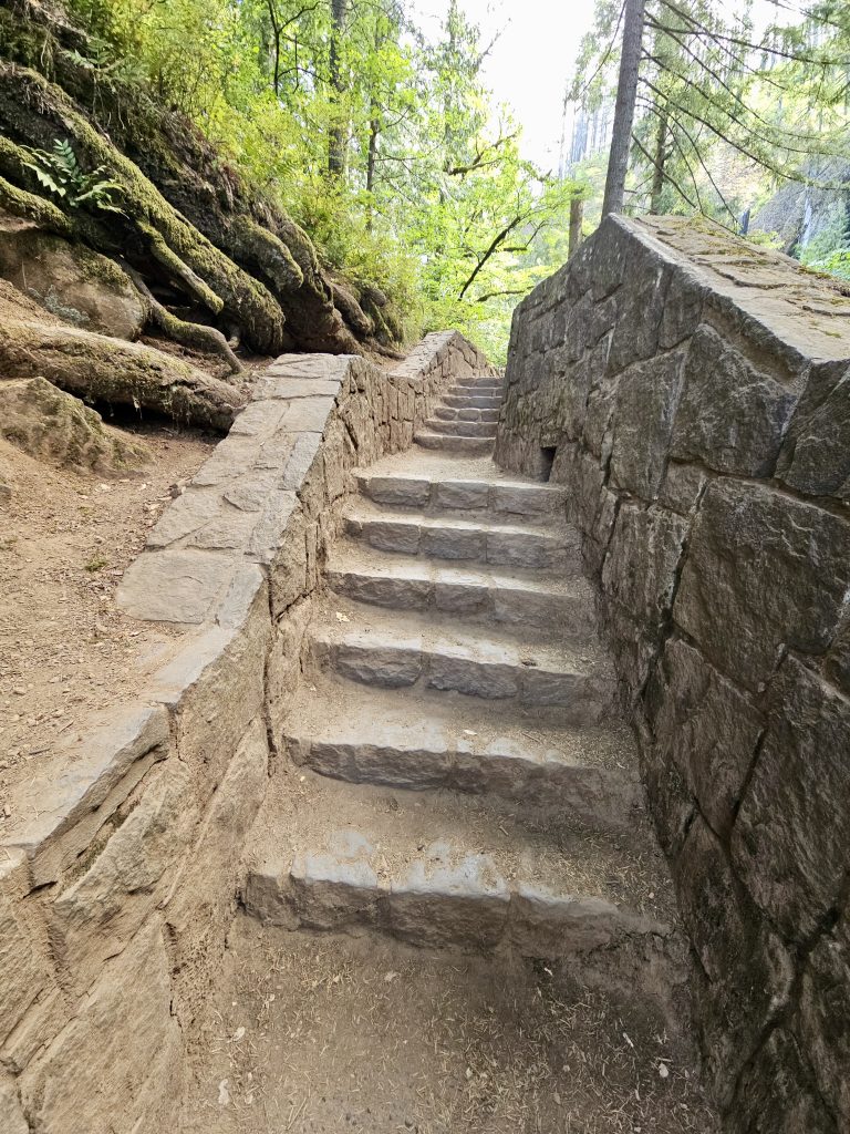 Stone steps rise through a mossy forest trail with trees and roots alongside. Columbia River Gorge National Scenic Area, Oregon.
