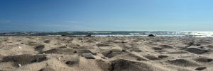 A close-up of a sandy beach, in the distance, a large body of water. Lake Huron.
