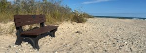 A wooden bench on a beach.  Tall beach grass stands behind it, with an expanse of sand in front.  Water is seen in the distance. Lake Huron.