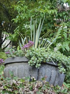 A stone planter filled with mixed green plants and purple flowers, seen in the garden of Pittock Mansion, Portland, during evening hours. 