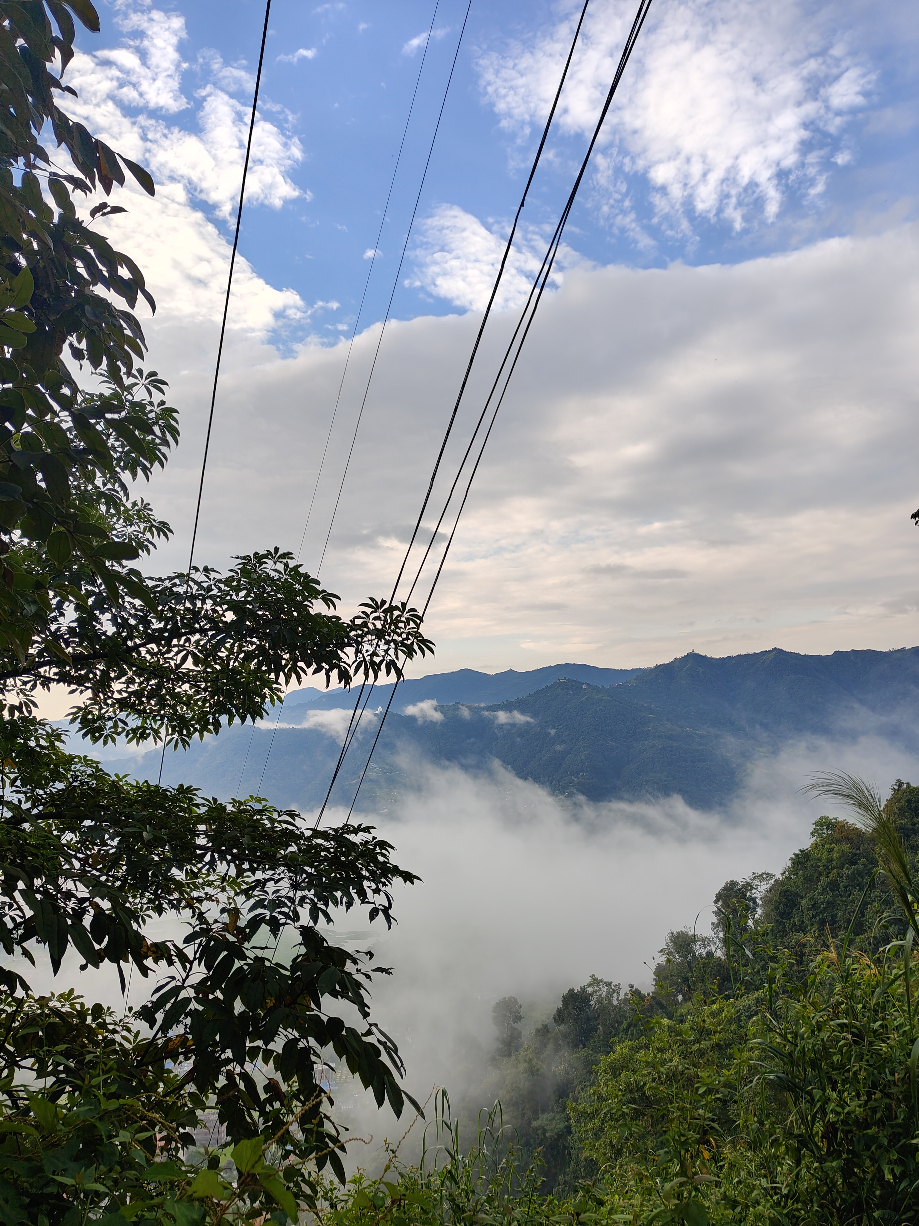 A scenic view of rolling green mountains partially shrouded in mist under a cloudy sky. In the foreground, leafy trees frame the image, while power lines stretch across the sky. 