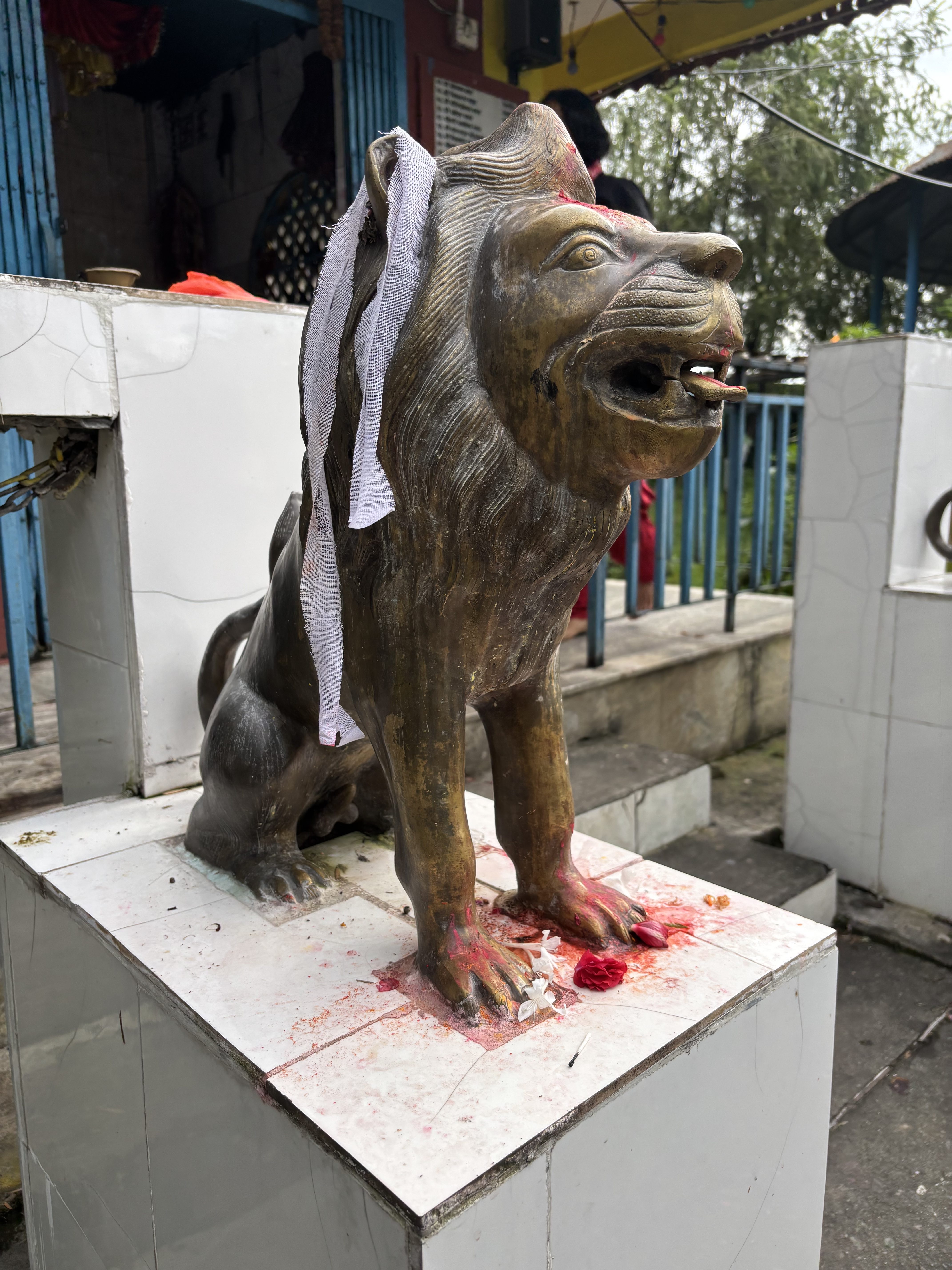 A bronze statue of a lion sitting on a pedestal, with its mouth open. 