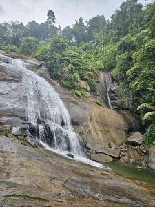 A beautiful waterfall surrounded by green trees and moss-covered rocks, captured in full side view at Thusharagiri Falls, Kozhikode. 