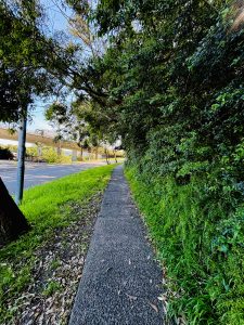 A picture of a small walking road in between bushes and grasses on the side of a main highway. An overhead bridge is visible. A small road is nearly covered with trees and bushes. 