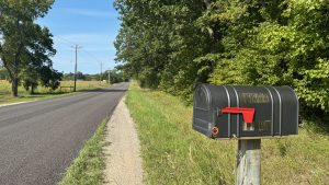 In the foreground a mailbox, in the background a long empty country road lined with forest.