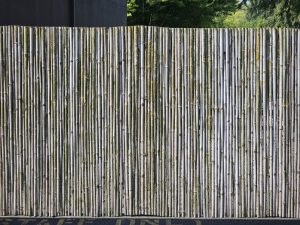A natural-looking fence made of vertical bamboo poles is used as a garden divider at the Oregon Zoo.