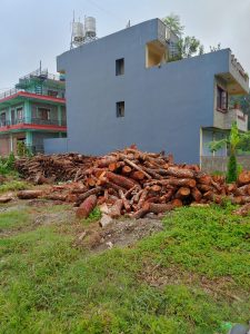 A pile of logs is stacked high in a grassy area, with various lengths of wood visible. 