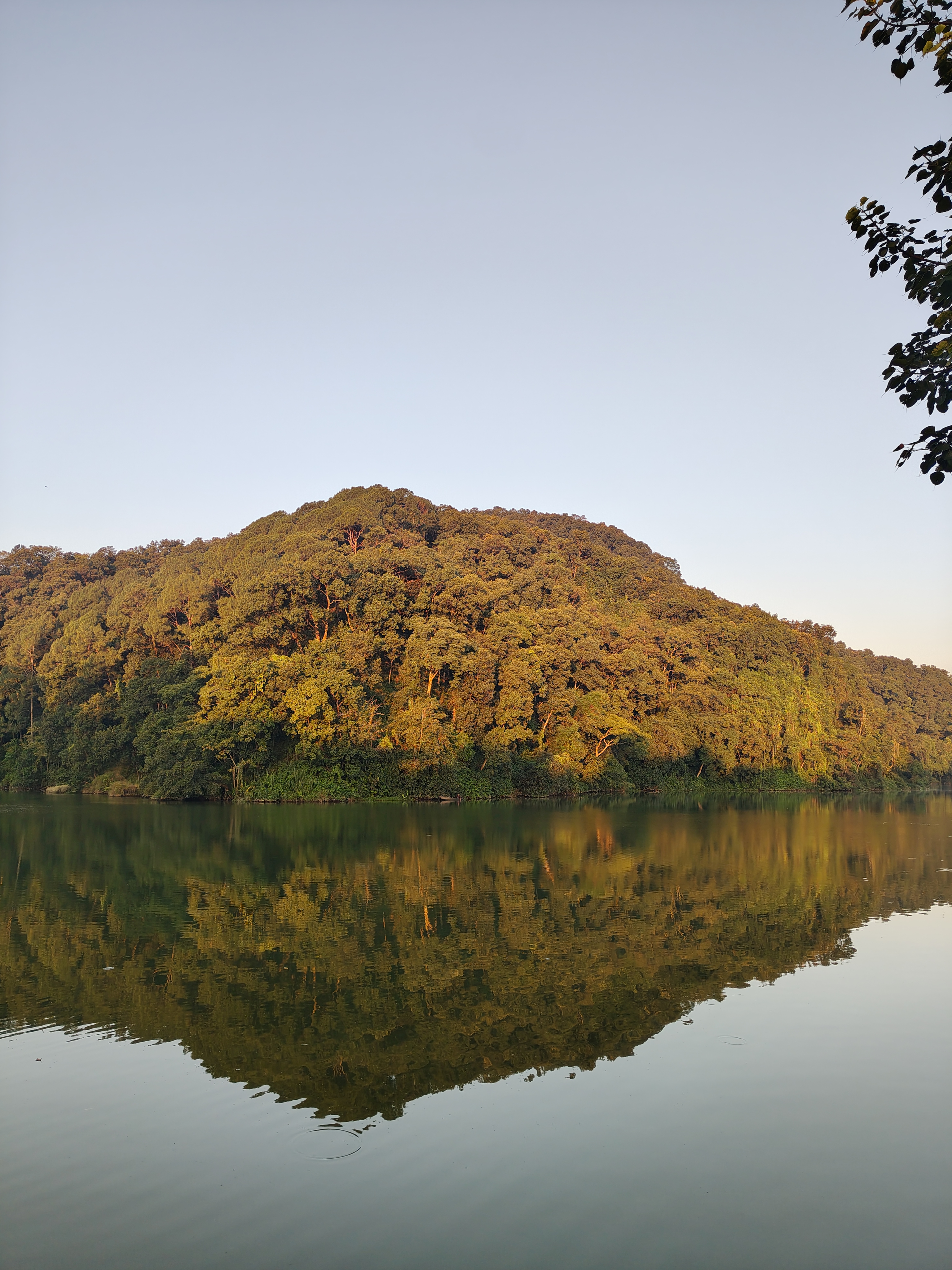 A serene landscape featuring a calm lake surrounded by dense greenery. 
