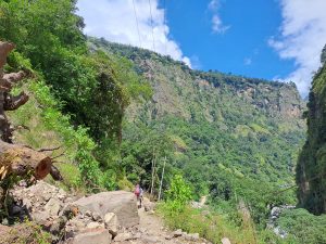 A hiker is walking along a rocky path surrounded by lush green vegetation and steep cliffs. 