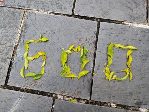 The number 600 spelled out in green leaves on grey tiles