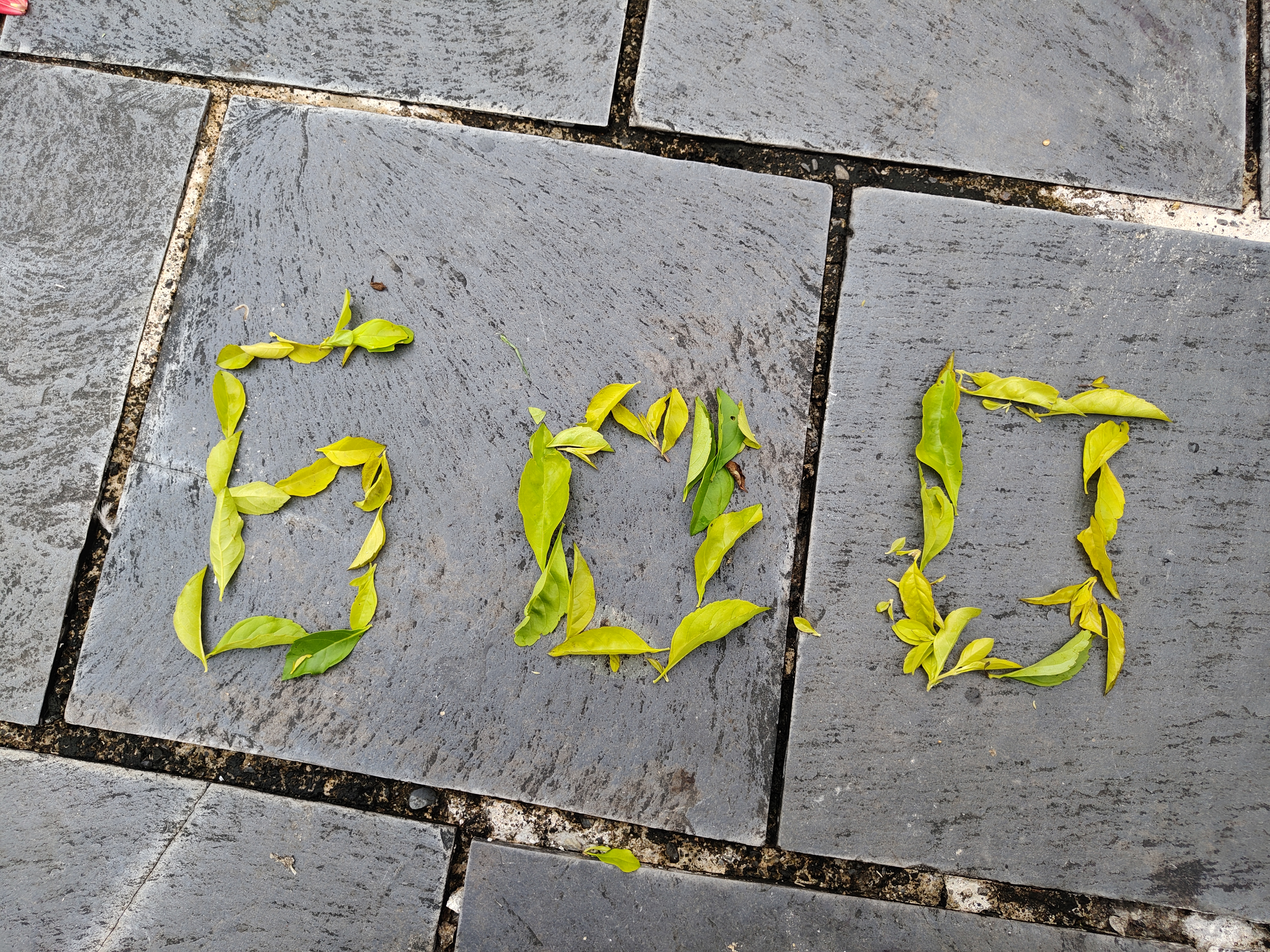 The number 600 spelled out in green leaves on grey tiles