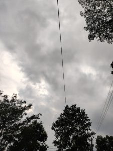 A cloudy sky with dark gray clouds looms overhead, framed by silhouetted trees and a power line, creating an overcast, somber mood.