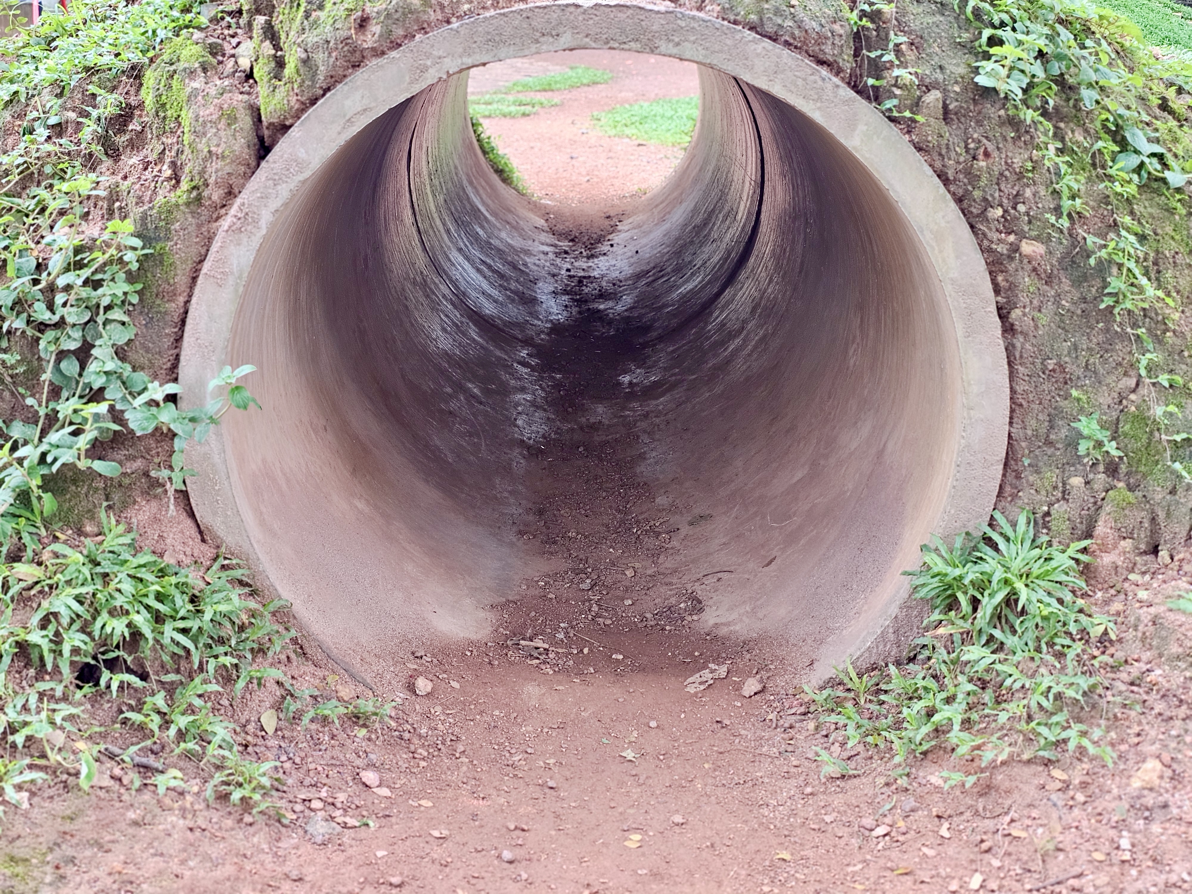 Concrete pipe tunnel play structure in a park in Fort Kochi, Kochi. The mossy exterior blends with the earth, inviting kids to crawl through. 
