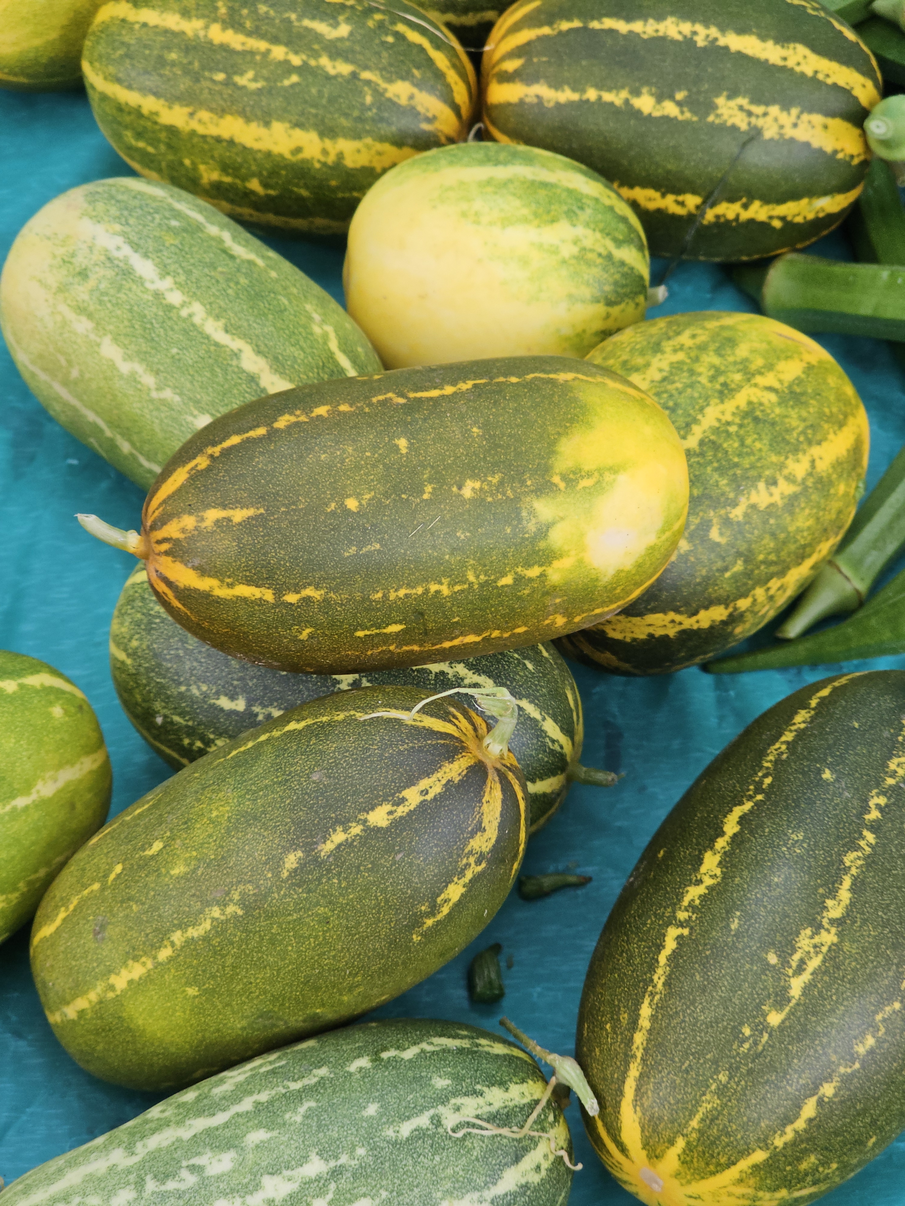 Yellow-green Indian yellow cucumber displayed in bulk at a local market in Peruvayal, Kozhikode. A fresh harvest of native produce.