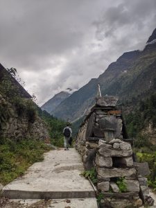 A person walks along a narrow stone path surrounded by lush greenery and stone walls, leading into a mountainous area.
