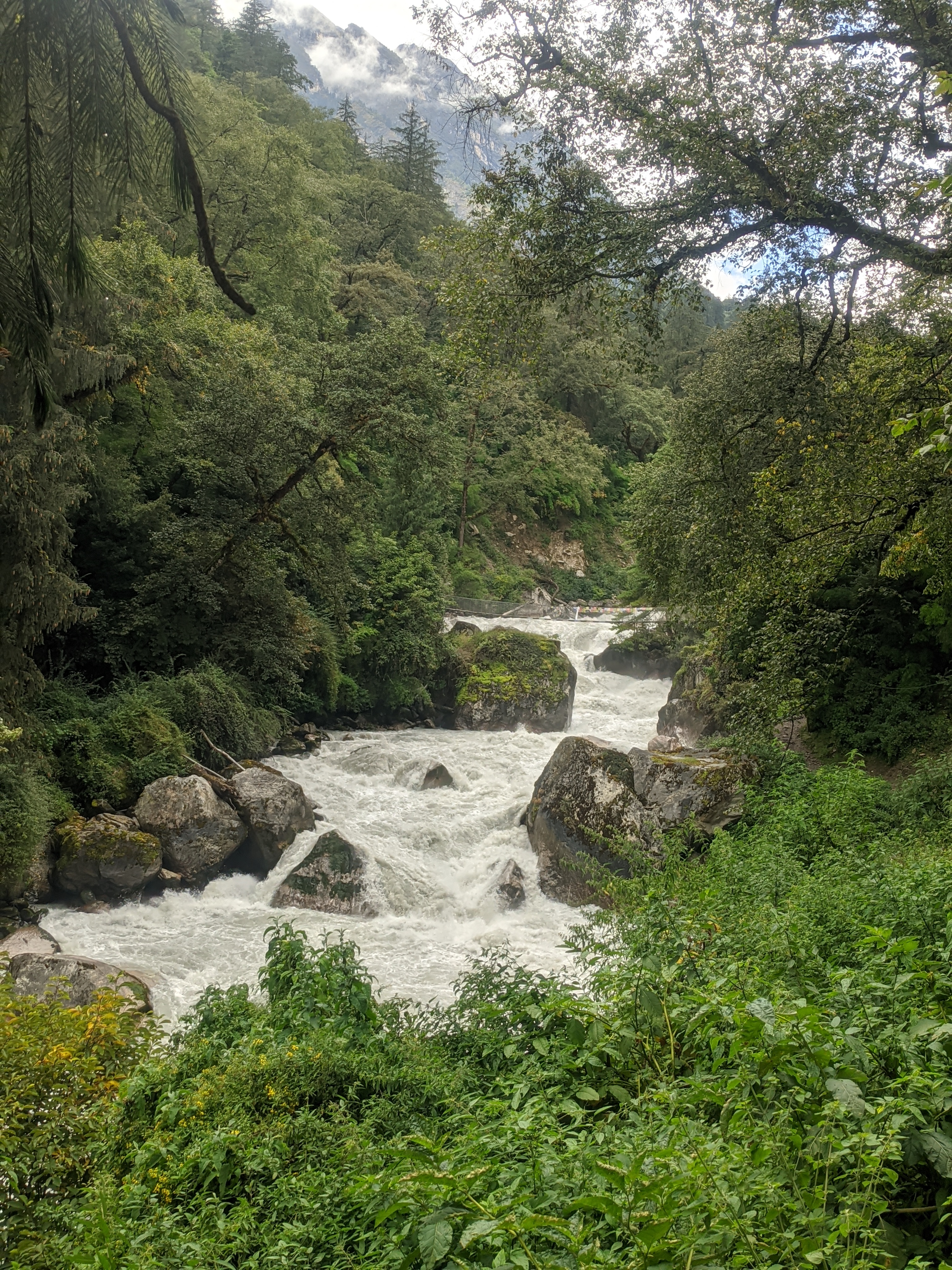 A scenic view of a rushing river flowing through a lush, green landscape.