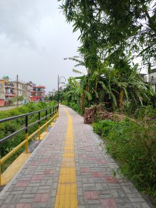 

A wide paved walkway with a yellow tactile path runs amid lush greenery, lined with street lamps, with colorful houses visible in the background under a gray, cloudy sky.