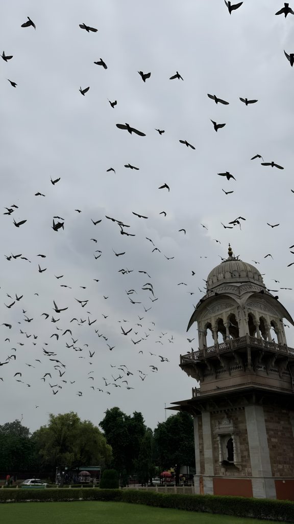 A flock of birds flying across a cloudy sky above the Albert Hall Museum in Jaipur, Rajasthan, with the historic dome and detailed architecture, few trees visible in the foreground.