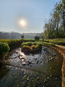 A tranquil stream with sunlight reflecting on the water, flowing over stones and around a small island of green plants. The path and lush greenery of the Okayama Friendship Garden in Pune are visible under a bright sky. 