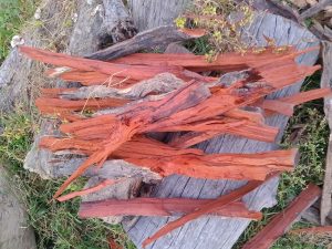 The picture represents rough pieces of scattered, stripped, or peeled wood above the wooden log and some dried grasses.